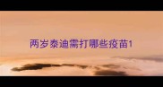 两岁泰迪需打哪些疫苗