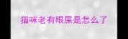 猫咪老有眼屎是怎么了