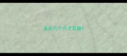 金毛几个月才安静