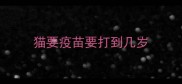 猫要疫苗要打到几岁