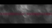 小巴哥犬最佳配种年龄几岁科学配种指南与注意事项全