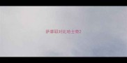 萨摩耶对比哈士奇