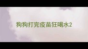 狗狗打完疫苗狂喝水