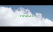 猫咪喜欢陪人散步