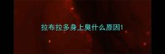 拉布拉多身上臭什么原因