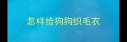 怎样给狗狗织毛衣