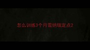 怎么训练3个月雪纳瑞定点