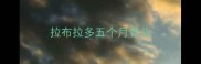 拉布拉多五个月骨头