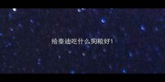 给泰迪吃什么狗粮好