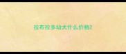 拉布拉多幼犬什么价格