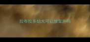 拉布拉多幼犬可以放室外吗