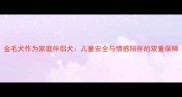 金毛犬作为家庭伴侣犬儿童安全与情感陪伴的双重保障