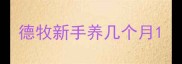 德牧新手养几个月