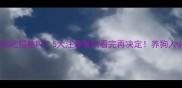 泰迪能吃猫粮吗5大注意事项看完再决定养狗人必看