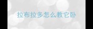 拉布拉多怎么教它卧