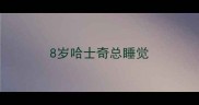 8岁哈士奇总睡觉