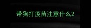 带狗打疫苗注意什么
