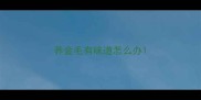 养金毛有味道怎么办