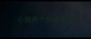 小狗两个月吃香蕉