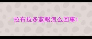 拉布拉多蓝眼怎么回事