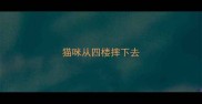 猫咪从四楼摔下去