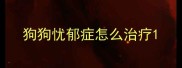 狗狗忧郁症怎么治疗