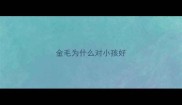 金毛为什么对小孩好