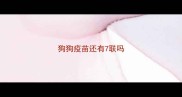 狗狗疫苗还有7联吗