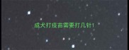 成犬打疫苗需要打几针