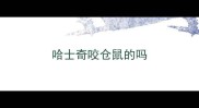 哈士奇咬仓鼠的吗