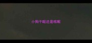 小狗干呕还是咳嗽