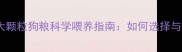 哈士奇专用大颗粒狗粮科学喂养指南如何选择与喂养误区全