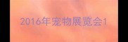 2016年宠物展览会