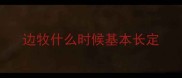 边牧什么时候基本长定