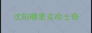 沈阳哪里买哈士奇