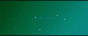 金毛口吐白色粘液