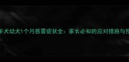边境牧羊犬幼犬1个月感冒症状全家长必知的应对措施与预防方法