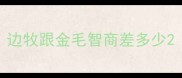 边牧跟金毛智商差多少
