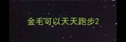 金毛可以天天跑步