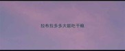 拉布拉多多大能吃干粮