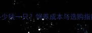 白泰迪价格全多少钱一只饲养成本与选购指南附品种特性