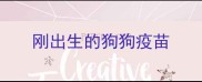 刚出生的狗狗疫苗