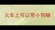 火车上可以带小狗嘛