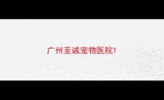 广州至诚宠物医院