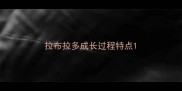 拉布拉多成长过程特点