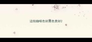 边牧咖啡色好黑色贵好