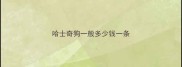哈士奇狗一般多少钱一条