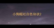 小狗呕吐白色块状