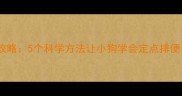 幼犬如厕训练全攻略5个科学方法让小狗学会定点排便附详细步骤