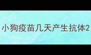 小狗疫苗几天产生抗体